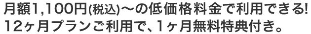 月額1,100円~の低価格料金で利用できる!12ヶ月プランご利用で、1ヶ月無料特典付き。